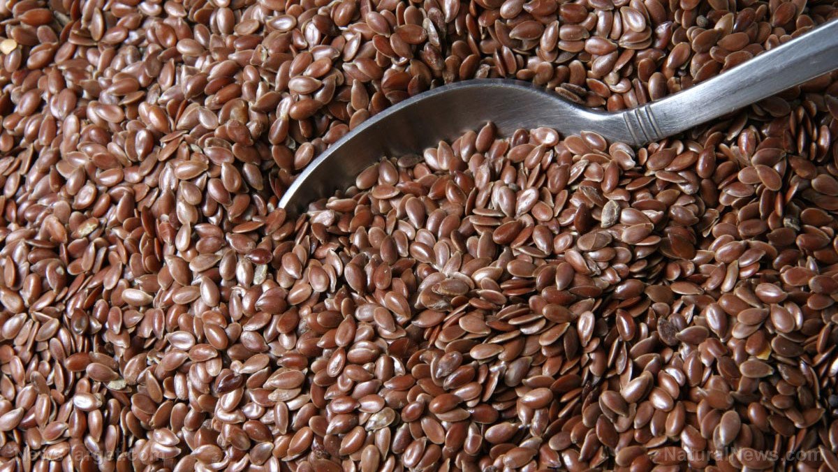 Image: Flaxseed proteins are great sources of antioxidant peptides, reports study