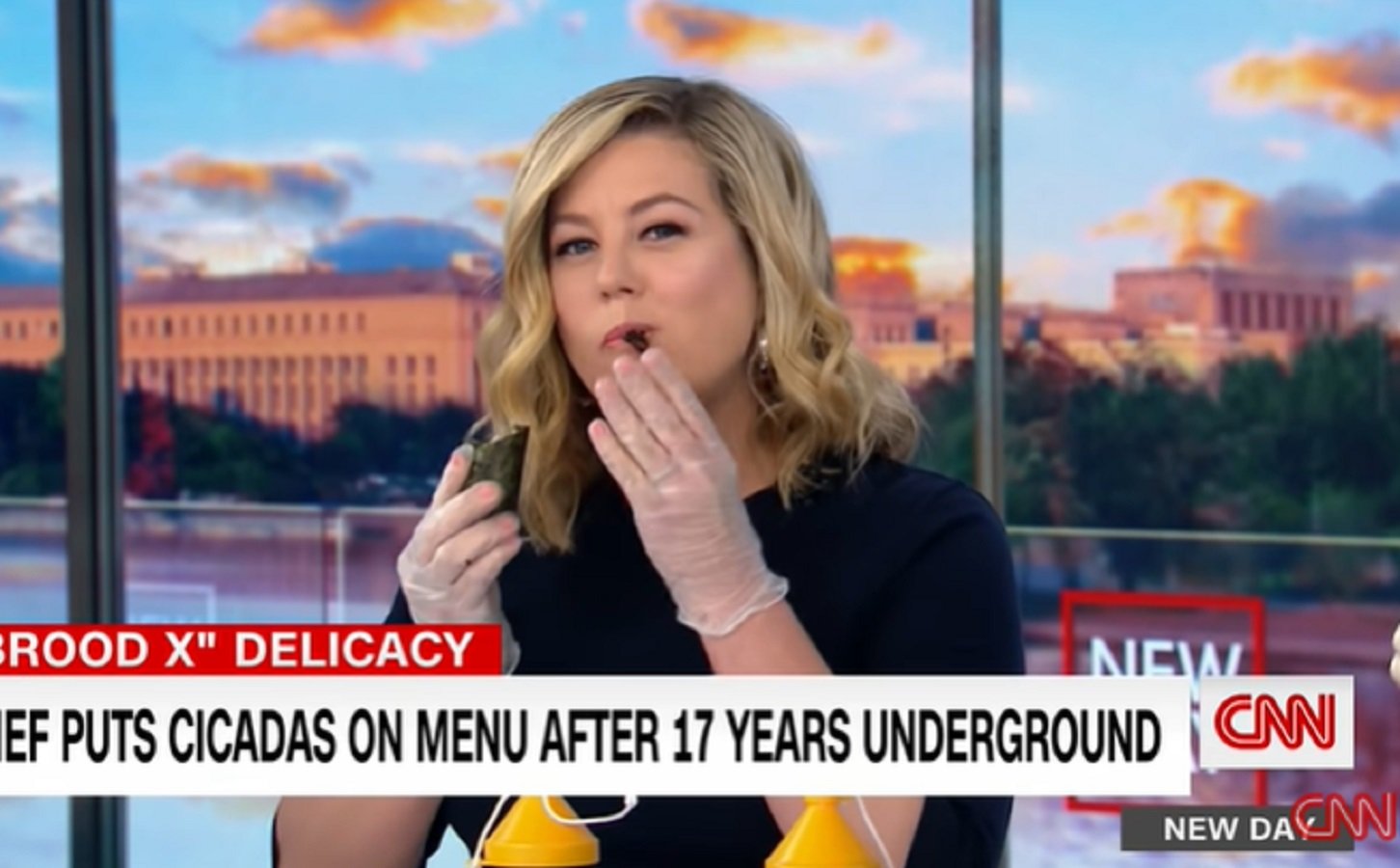 Desperate for Attention? CNN Anchor Eats Dead Bugs on Live Television
