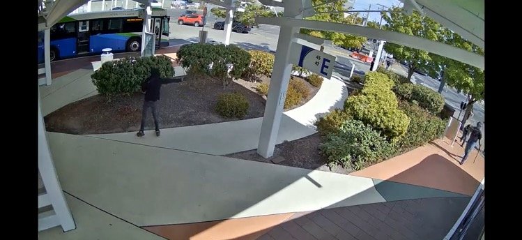 WATCH: Surveillance Video of Antifa Terrorist Shooting Proud Boy Tusitala “Tiny” Toese Released by Olympia PD