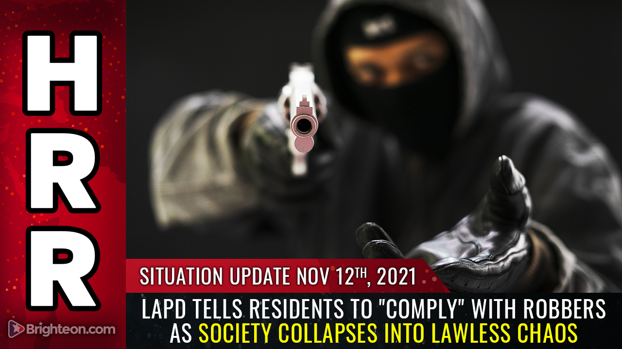 Image: LAWLESS CHAOS: LAPD tells residents to “comply” with robbers as society collapses in blue cities… escape while you still can