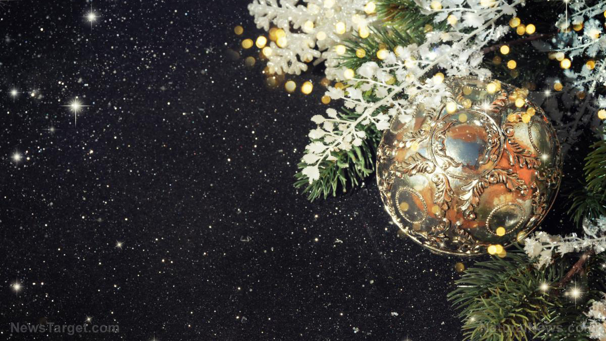 PLEASE DO YOUR PART Send a Christmas card to the political prisoners