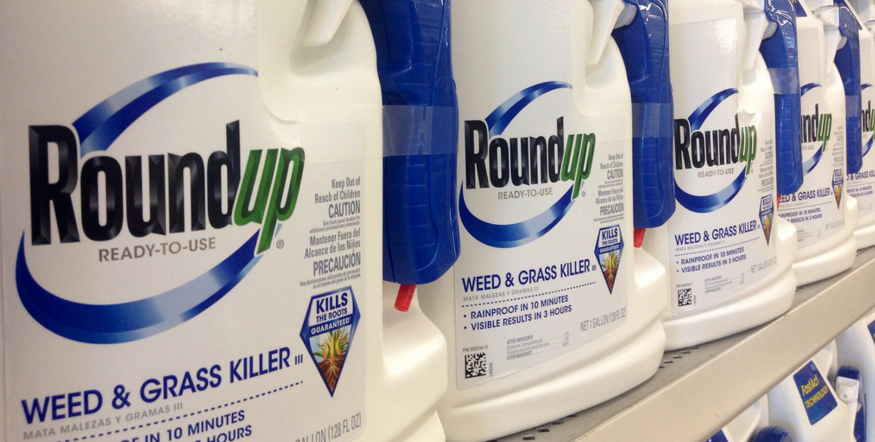 Image: ‘They tried to kill me,’ biologist who exposed dangers of Roundup weed killer tells RFK, Jr.