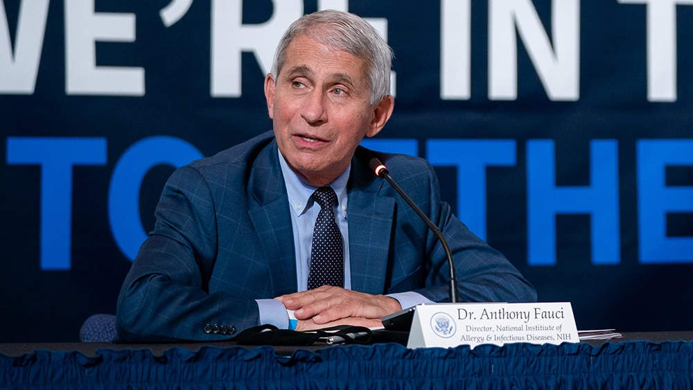 Image: Fauci “knew” he was funding illegal gain-of-function research, says former CDC director