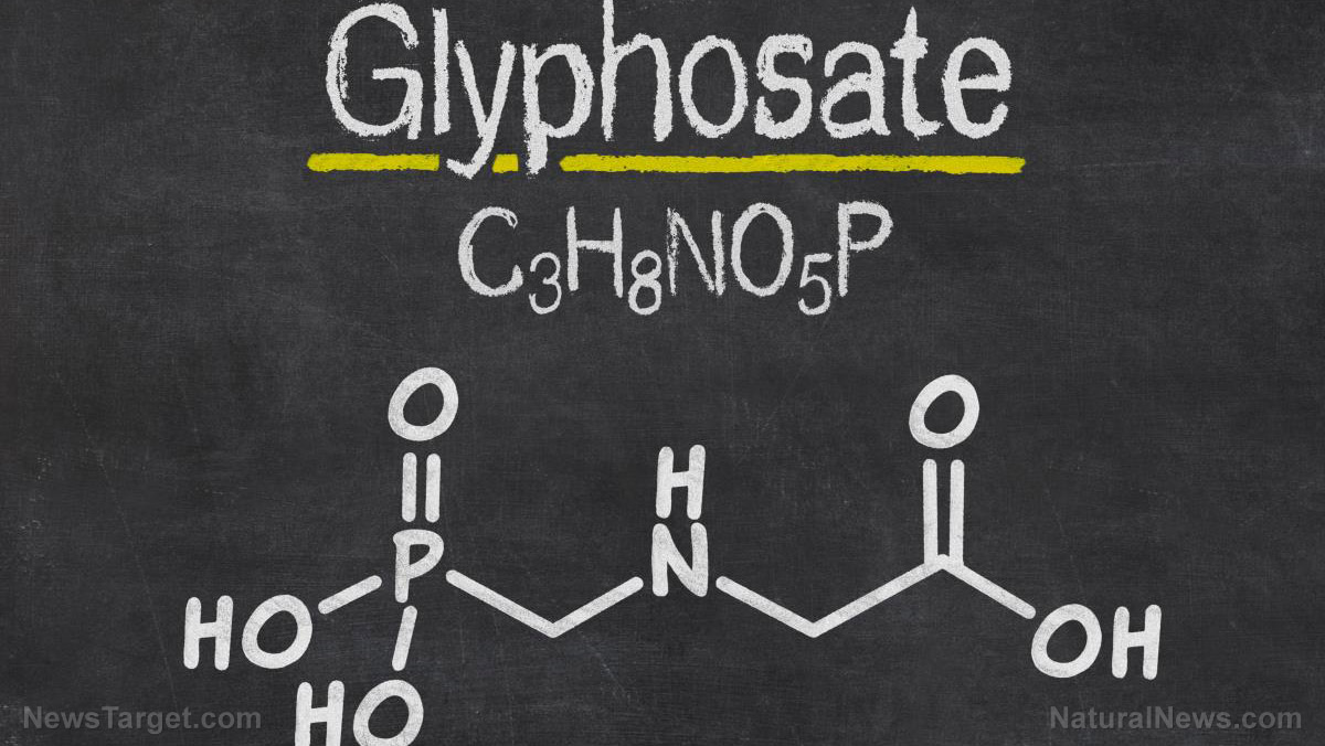Image: LISTEN as Dr. Judy Mikovitz explains how glyphosate amplifies the toxicity of covid “vaccines”