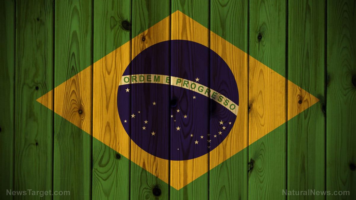 Image: Brazilian military declares Jair Bolsonaro the TRUE PRESIDENT
