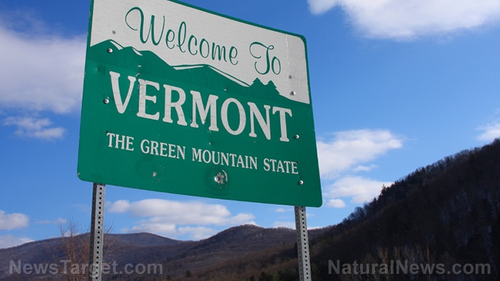 Image: Vermont goes all-in for baby murder with constitutional amendment enshrining abortion as a “human right”