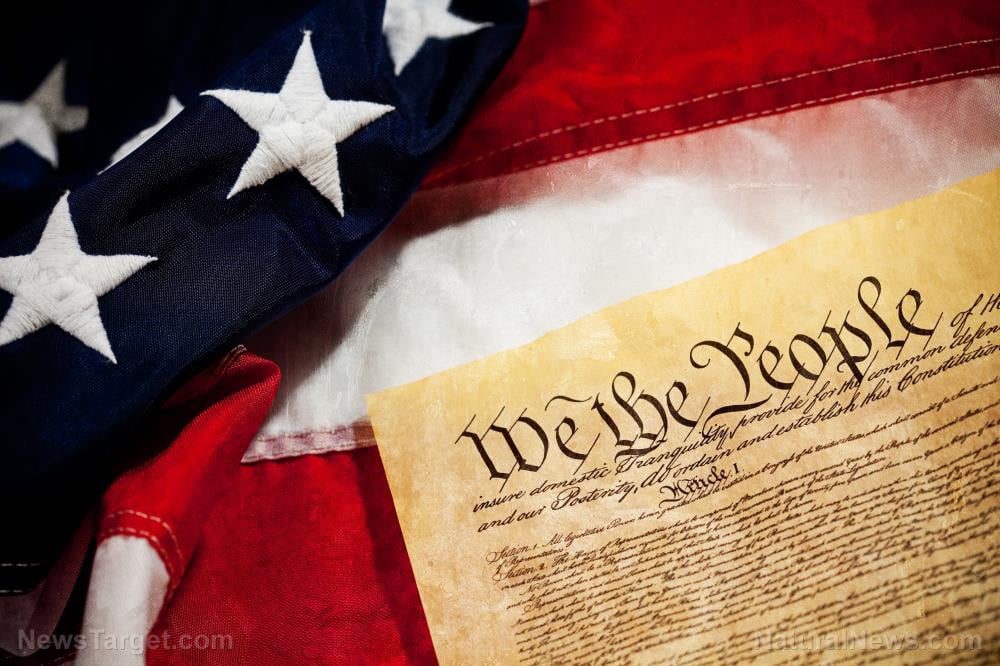 Image: Constitutional scholar David Jose: Americans have power over their government – Brighteon.TV