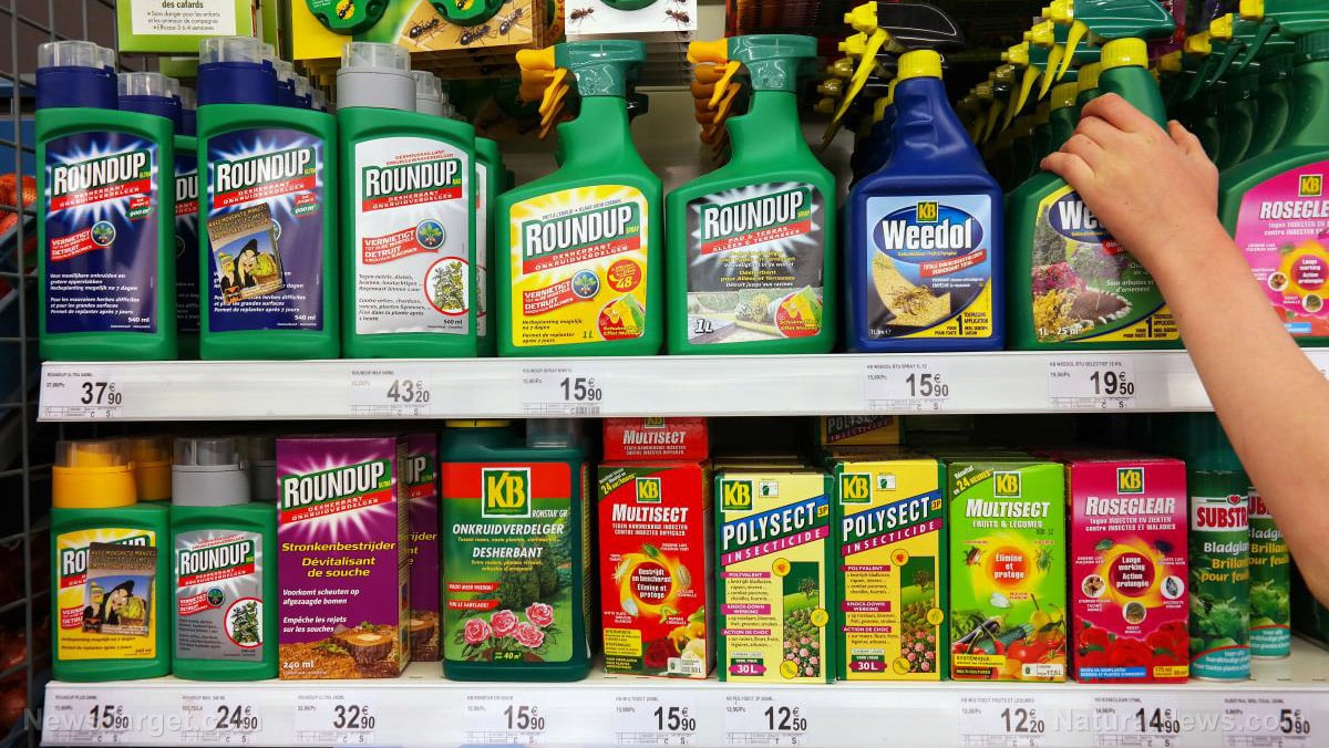 Image: Glyphosate is spreading further into the ecosystem, now detected in surviving wildflowers and bee pollen
