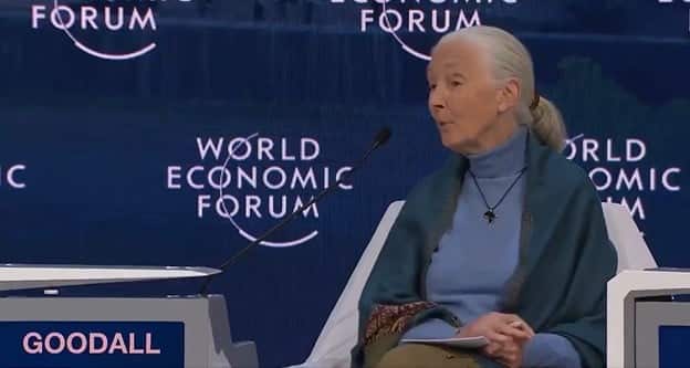 MUST WATCH: Unearthed Video Shows Animal Rights Activist Jane Goodall Calling for DEPOPULATING THE EARTH to Solve “Climate Change” (VIDEO) - Survive the News