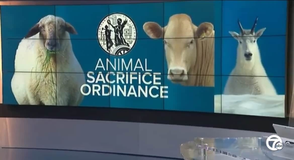 Michigan: Hamtramck City Council Oks Islamic Animal Sacrifices at Home to Appease Muslim Community