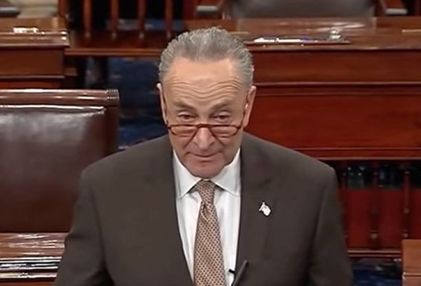 Chuck Schumer Claims No One Is Coming For Your Gas Stove – Internal Biden Memo Shows Effort To Ban Them Is Real