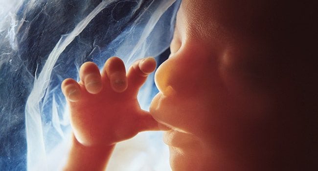 Lawsuit Claims Virginia Social Worker Pressured 15-Year-Old Girl Into Aborting Baby Against Her Will
