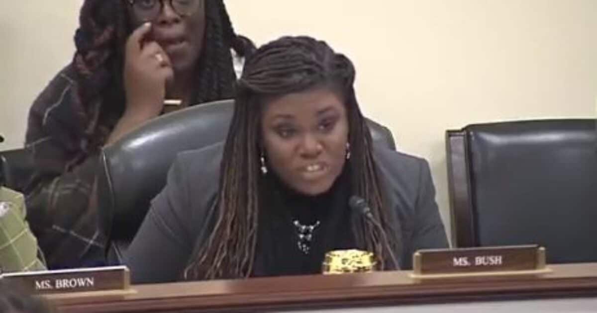 “A Despicable and False Attack” – Energy Expert Alex Epstein Owns Squad Member Cori Bush After She Hurls Racist Label at Him during During (VIDEO)