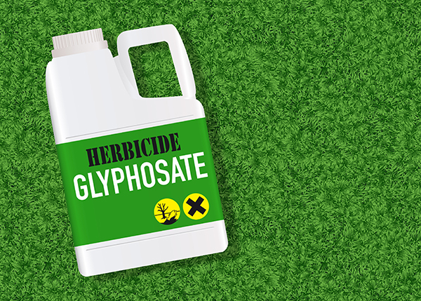 Glyphosate herbicide may be altering children’s genetics and causing BIRTH DEFECTS