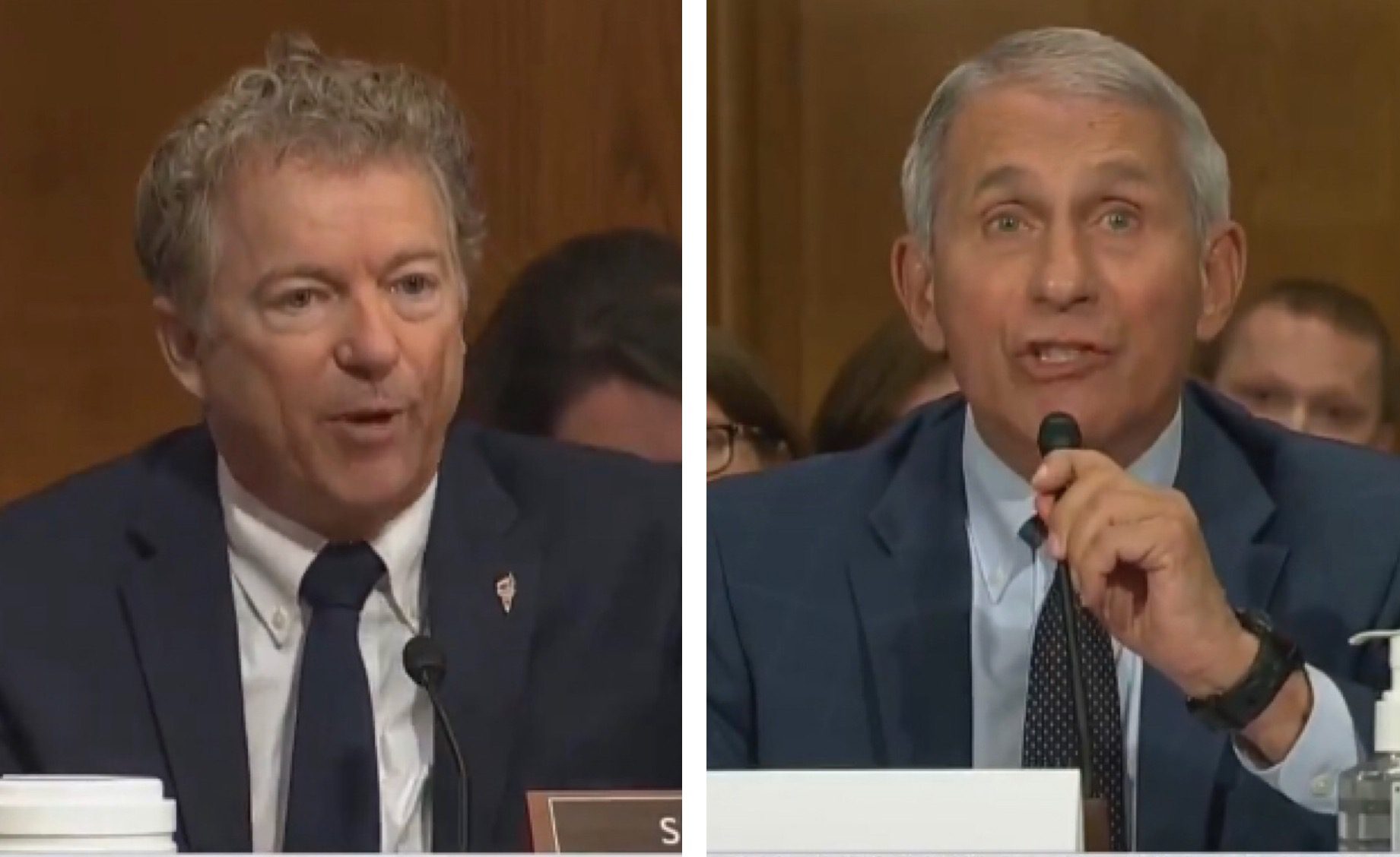 Rand Paul Criminally Refers Dr. Fauci to DOJ For Prosecution For Lying to Congress About Gain-of-Function