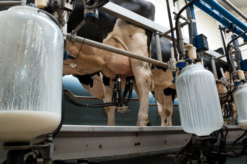 Canadian government forcing dairy farmers to DUMP MILK because regulatory quotas only allow so much to be produced, sold – NaturalNews.com