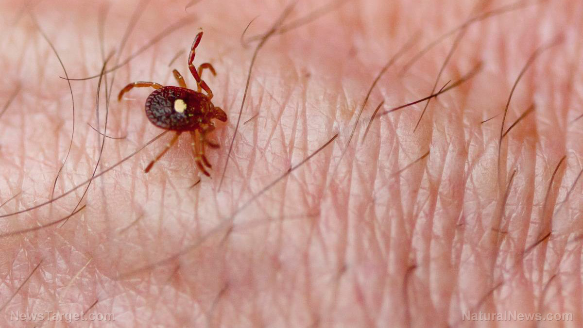 Is the latest tick scare an anti-meat green ploy that’s weaponizing insects and bugs?