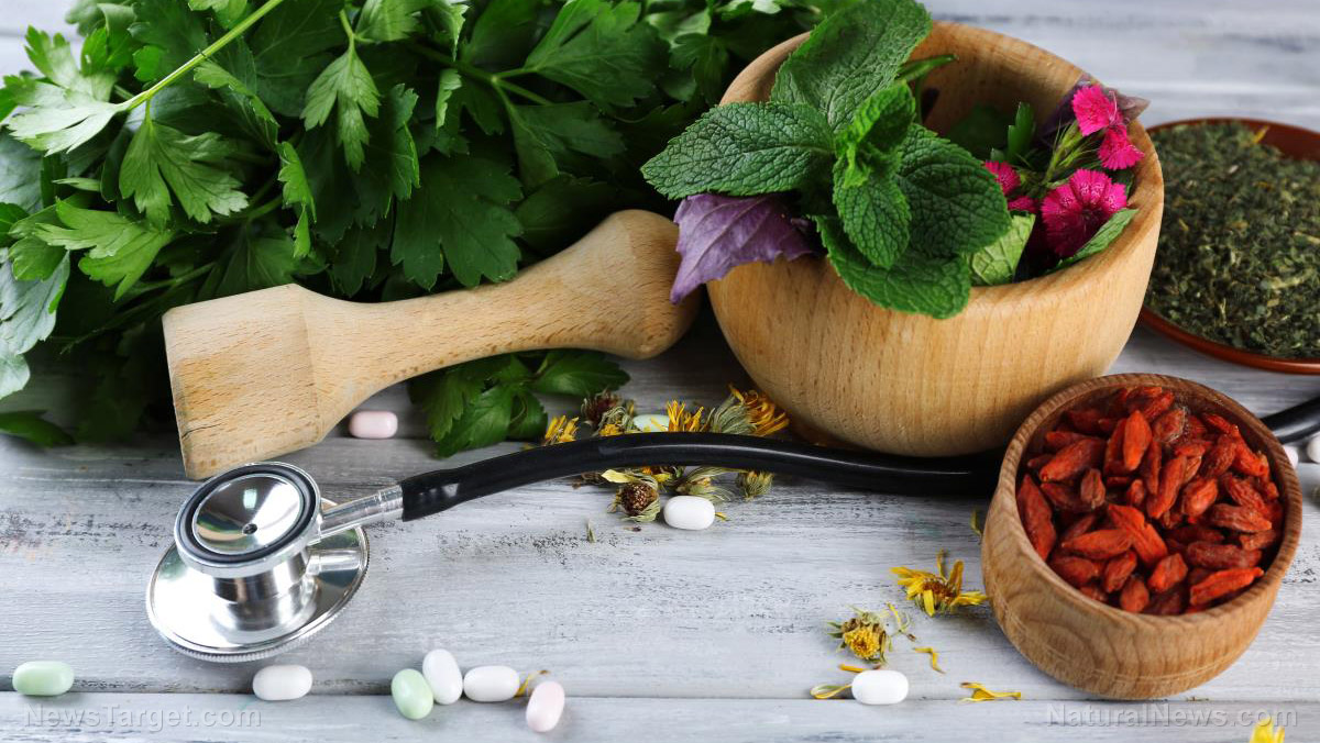 Natural alternatives to OTC drugs for your survival medicine cabinet