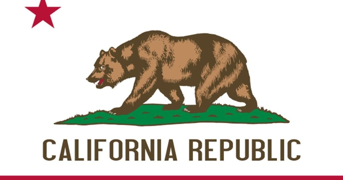 Liberals Outraged After School Board in California Votes to Allow Only the State and U.S. Flags to Fly Over Schools | The Gateway Pundit