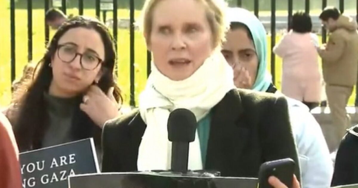 Socialist Actress Cynthia Nixon Joins Hunger Strike Outside the White House Demanding Ceasefire in Gaza (VIDEO) | The Gateway Pundit