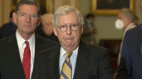 Republican senators call on Mitch McConnell to step down from GOP leadership over failure to secure US border – NaturalNews.com